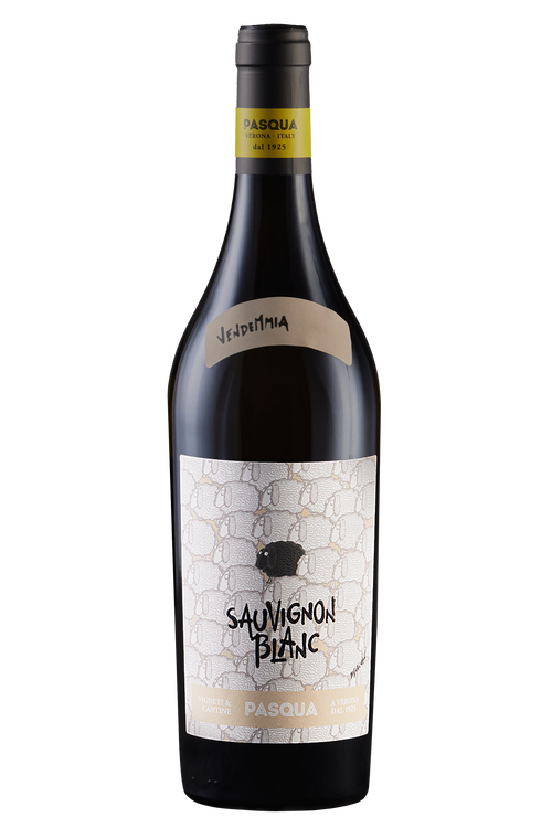 Sauvignon Blanc, Pasqua, Vendemmia 2024